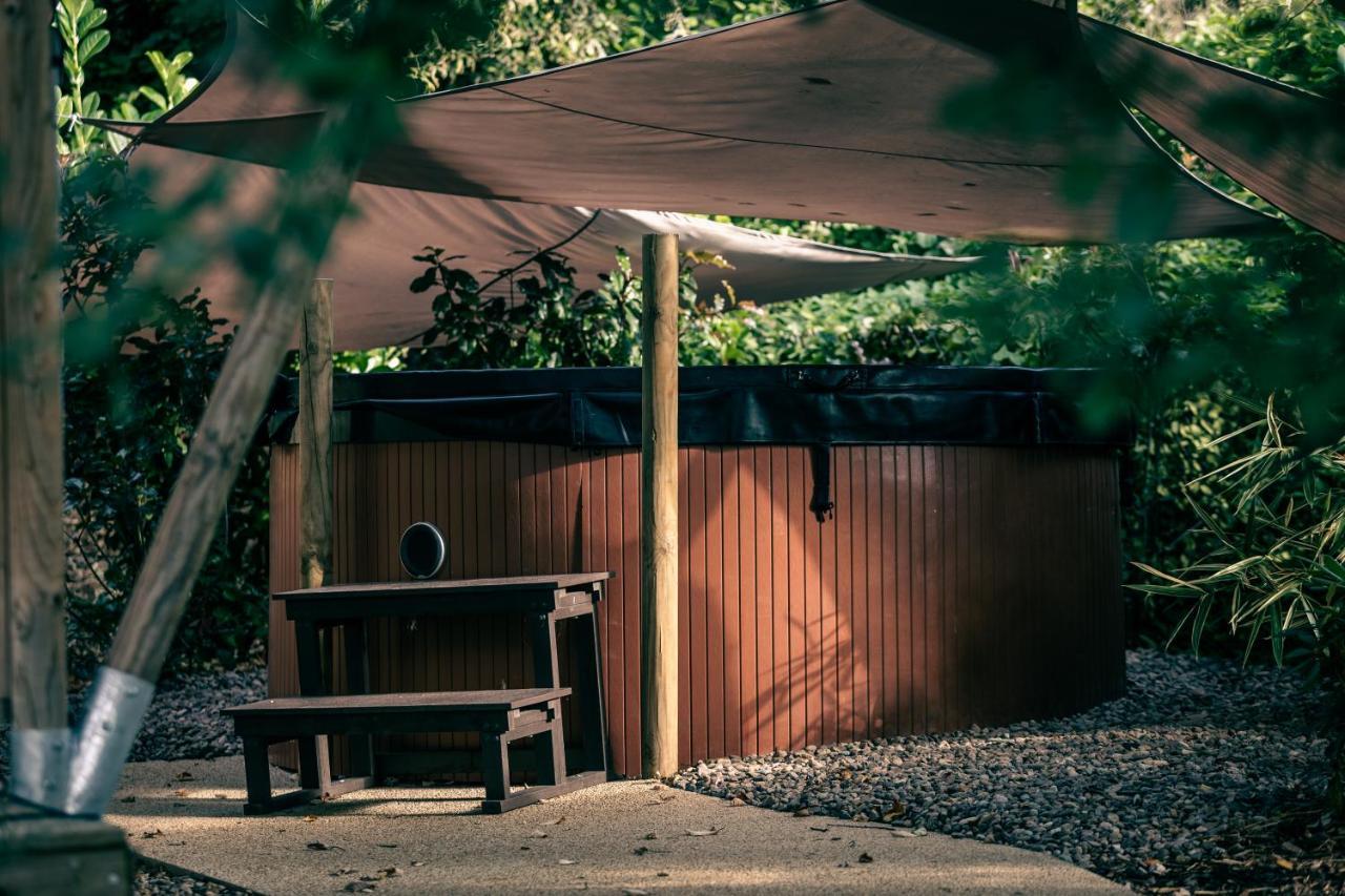 Lodges Des Grands Chenes Andelarrot エクステリア 写真